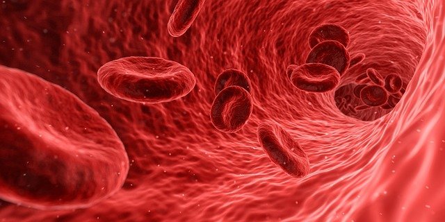 Blood cells flow for cancer art
